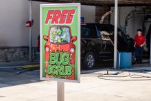 Free Bug Scrub at iShine Car Wash